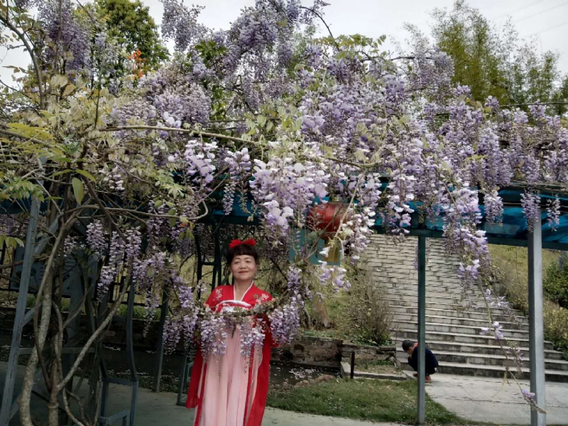 莉莉的第一张照片--顺昌婚介网